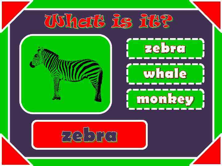 What is it? zebra whale monkey zebra 