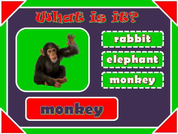 What is it? rabbit elephant monkey 