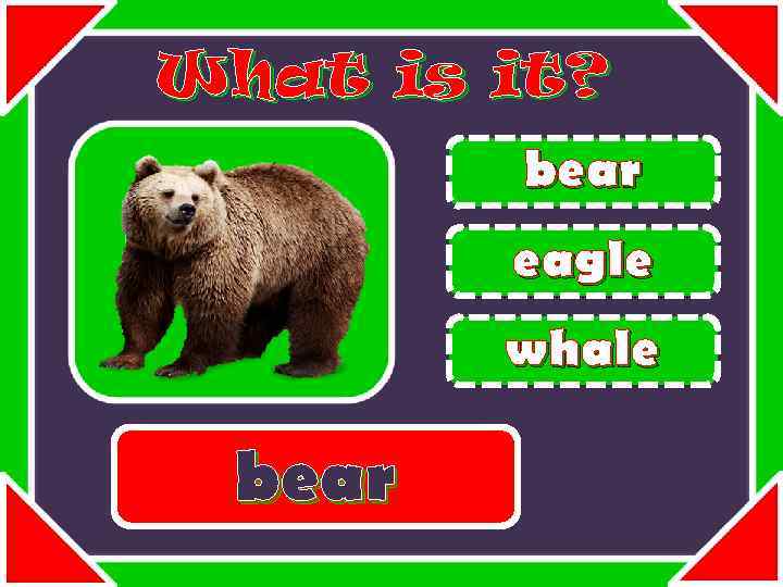 What is it? bear eagle whale bear 