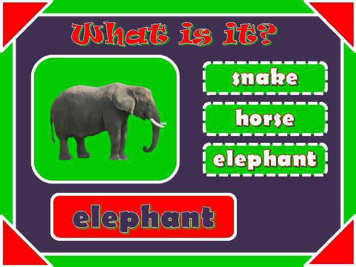 What is it? snake horse elephant 