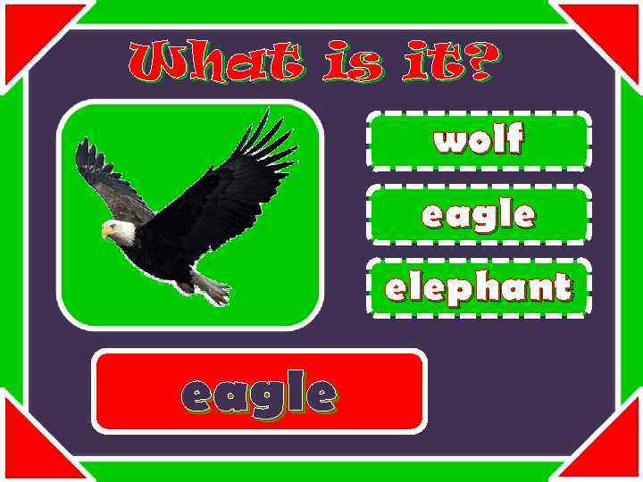 What is it? wolf eagle elephant eagle 