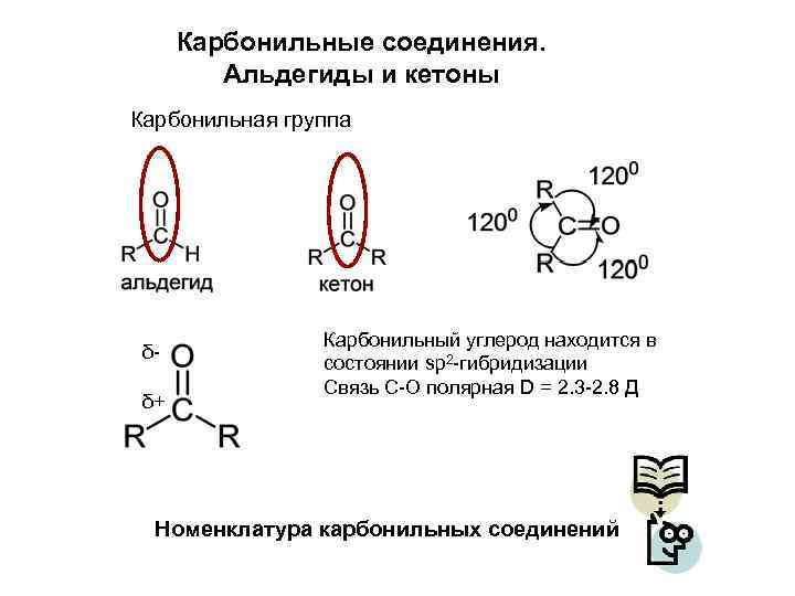 Карбонильные соединения. Альдегиды и кетоны Карбонильная группа δδ+ Карбонильный углерод находится в состоянии sp