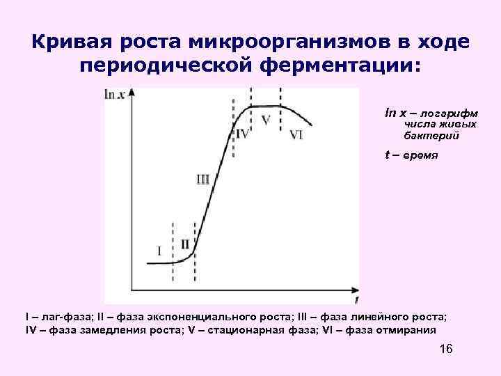 Рост микроорганизмов. Кривая роста культуры микроорганизмов. Кривая роста популяции бактерий. Кривая роста микробной клетки. Фазы роста микроорганизмов.