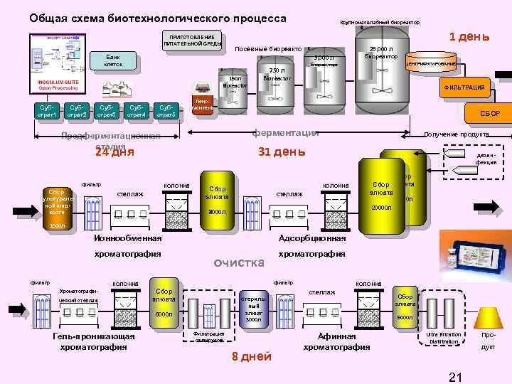 Схема биотехнологического производства