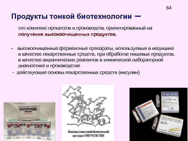 Биотехнология аминокислот презентация