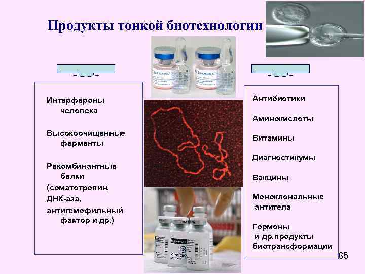 Используются для получения антибиотиков. Антибиотики биотехнология. Схема получения ферментов биотехнология. Продукты тонкой биотехнологии. Биотехнологическое производство антибиотиков.