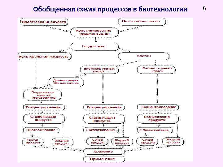 Схема биотехнологической лаборатории