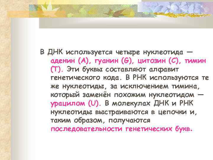 В ДНК используется четыре нуклеотида — аденин (А), гуанин (G), цитозин (С), тимин (Т).