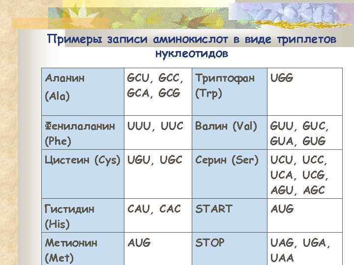 Примеры записи аминокислот в виде триплетов нуклеотидов Аланин GCU, GCC, GCA, GCG Триптофан (Trp)