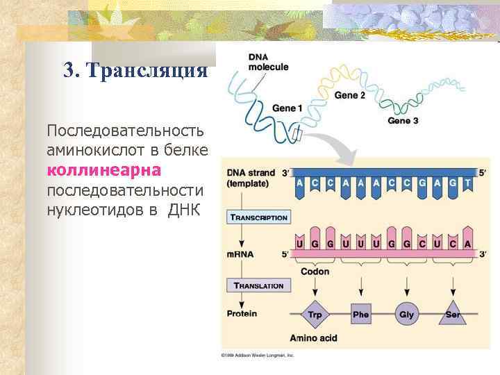 Изменение аминокислот последовательности белков