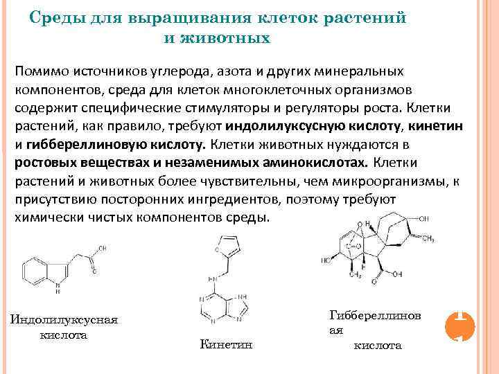 Среды для выращивания клеток растений и животных Помимо источников углерода, азота и других минеральных
