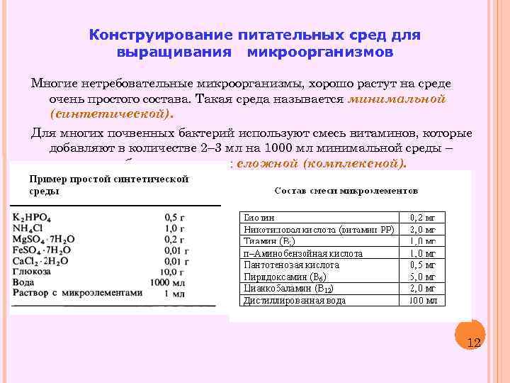 Конструирование питательных сред для выращивания микроорганизмов Многие нетребовательные микроорганизмы, хорошо растут на среде очень