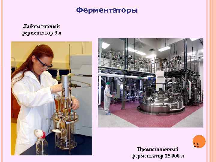 Ферментаторы Лабораторный ферментатор 3 л Промышленный ферментатор 25 000 л 18 