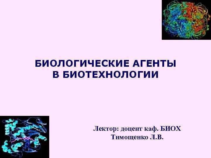 БИОЛОГИЧЕСКИЕ АГЕНТЫ В БИОТЕХНОЛОГИИ Лектор: доцент каф. БИОХ Тимощенко Л. В. 
