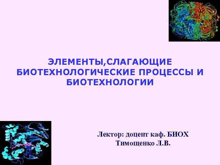 ЭЛЕМЕНТЫ, СЛАГАЮЩИЕ БИОТЕХНОЛОГИЧЕСКИЕ ПРОЦЕССЫ И БИОТЕХНОЛОГИИ Лектор: доцент каф. БИОХ Тимощенко Л. В. 