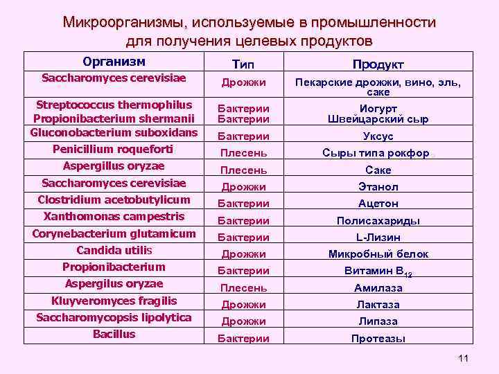 Бактерии используемые в промышленности. Использование микроорганизмов. Использование бактерий в промышленности. Микроорганизмы, используемые в пищевой промышленности. Микроорганизмы используют в производстве.