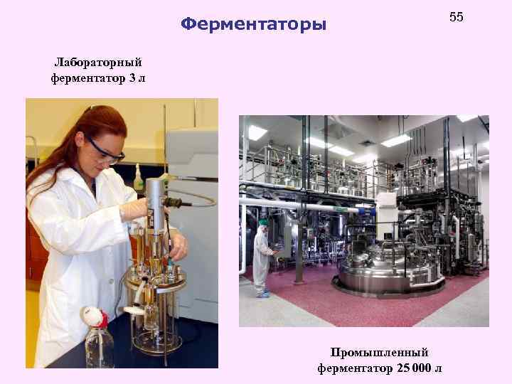 Ферментаторы Лабораторный ферментатор 3 л Промышленный ферментатор 25 000 л 55 
