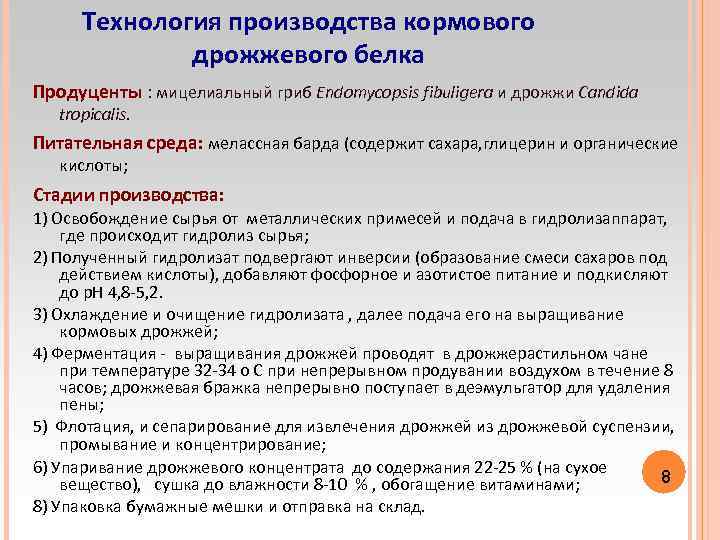 Технология производства кормового дрожжевого белка Продуценты : мицелиальный гриб Endomycopsis fibuligera и дрожжи Candida