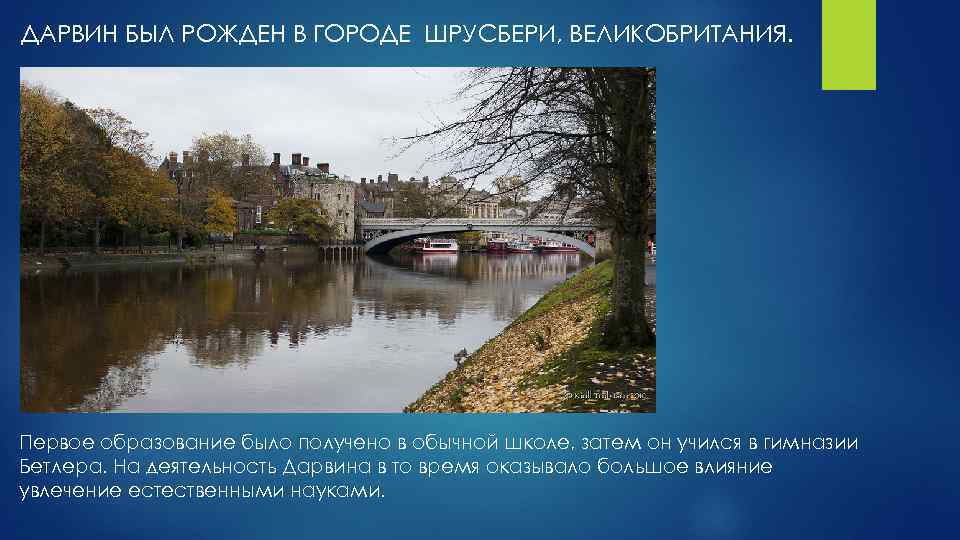 ДАРВИН БЫЛ РОЖДЕН В ГОРОДЕ ШРУСБЕРИ, ВЕЛИКОБРИТАНИЯ. Первое образование было получено в обычной школе,