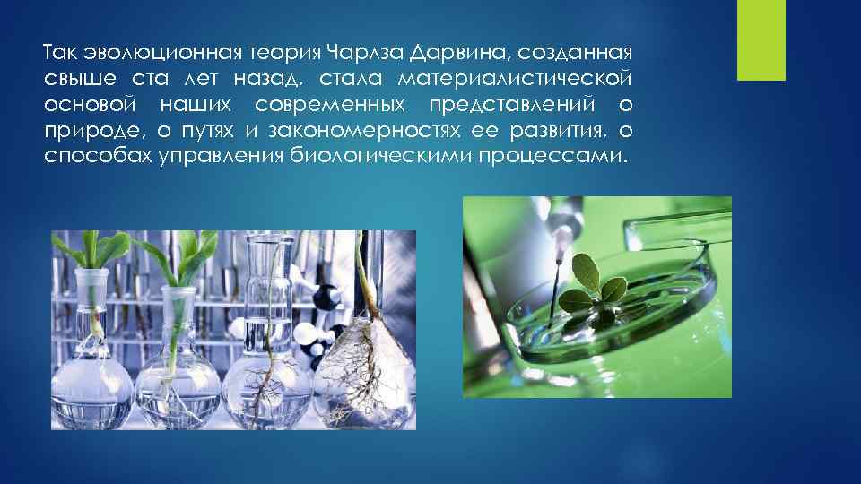 Так эволюционная теория Чарлза Дарвина, созданная свыше ста лет назад, стала материалистической основой наших