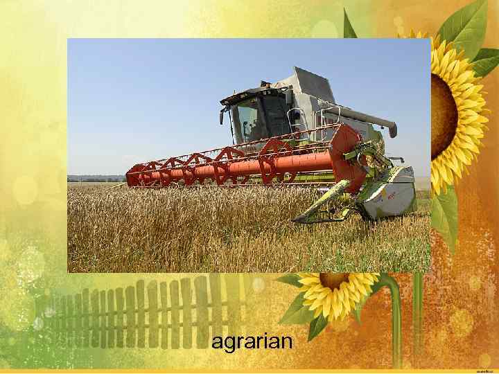 agrarian 