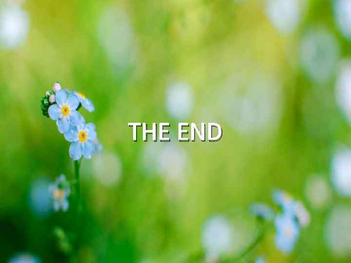 THE END 