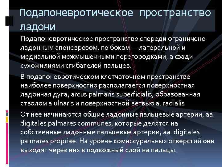 Подапоневротическое пространство ладони Подапоневротическое пространство спереди ограничено ладонным апоневрозом, по бокам — латеральной и
