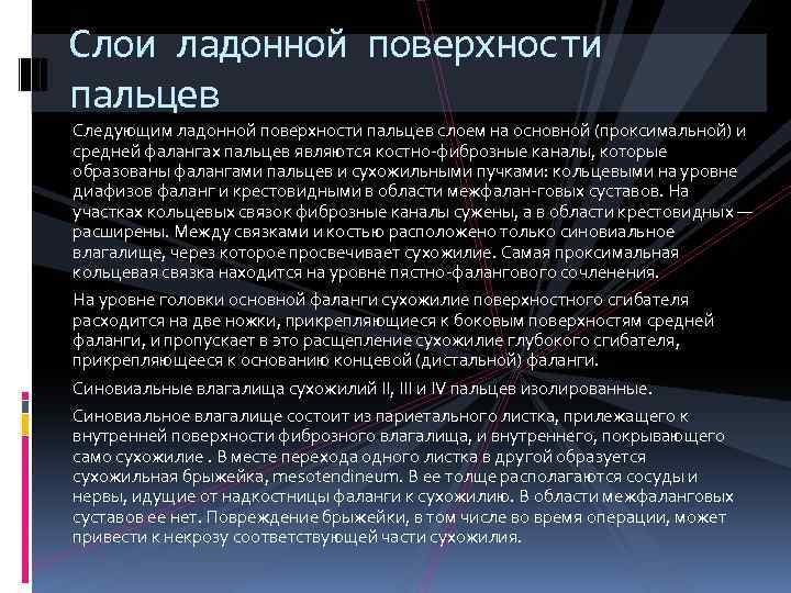 Слои ладонной поверхности пальцев Следующим ладонной поверхности пальцев слоем на основной (проксимальной) и средней