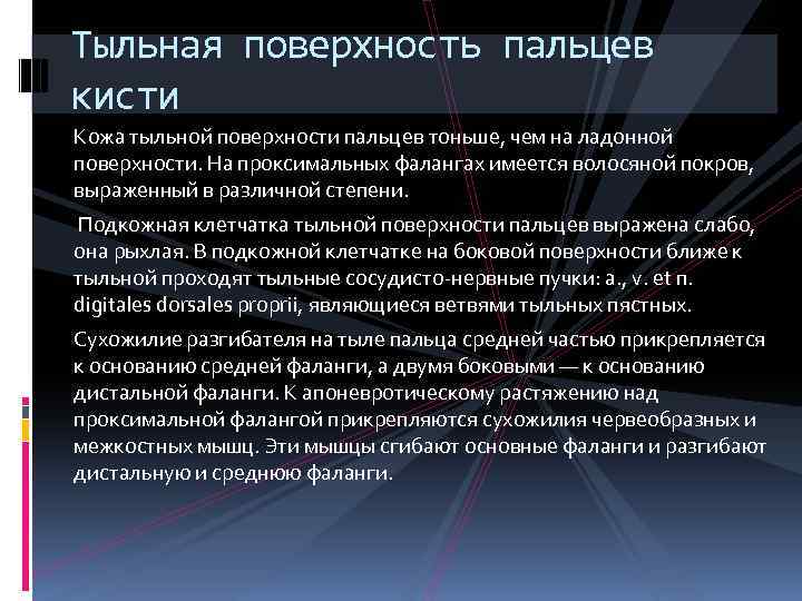 Тыльная поверхность пальцев кисти Кожа тыльной поверхности пальцев тоньше, чем на ладонной поверхности. На