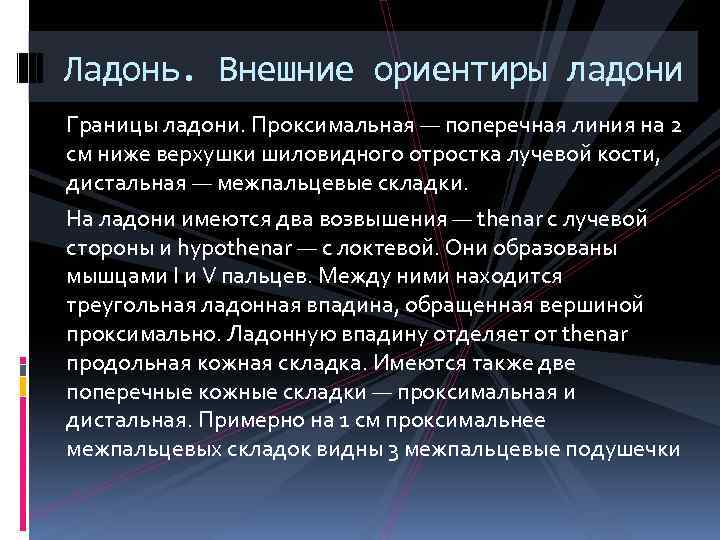 Ладонь. Внешние ориентиры ладони Границы ладони. Проксимальная — поперечная линия на 2 см ниже