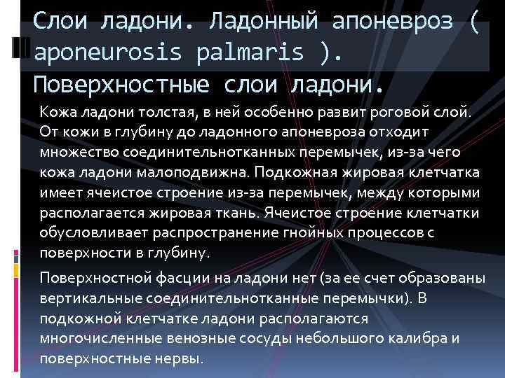 Слои ладони. Ладонный апоневроз ( aponeurosis palmaris ). Поверхностные слои ладони. Кожа ладони толстая,