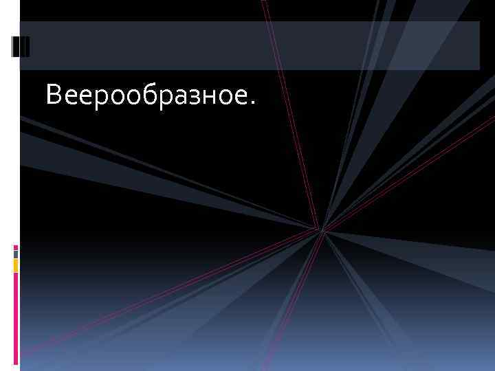 Веерообразное. 