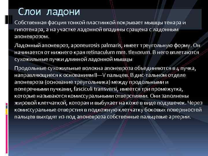 Слои ладони Собственная фасция тонкой пластинкой покрывает мышцы тенара и гипотенара, а на участке
