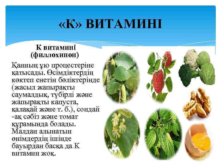  «К» ВИТАМИНІ К витаминi (филлохинон) Қанның ұю процестеріне қатысады. Өсімдіктердің көктеп енетін бөліктерінде