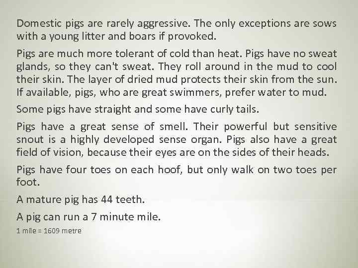 Domestic pigs are rarely aggressive. The only exceptions are sows with a young litter