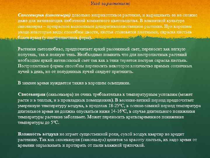 Уход за растением: Сансевиерия (сансевьера) довольно неприхотливое растение, и выращивать ее не сложно даже