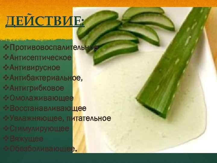 ДЕЙСТВИЕ: v. Противовоспалительное v. Антисептическое v. Антивирусное v. Антибактериальное, v. Антигрибковое v. Омолаживающее v.