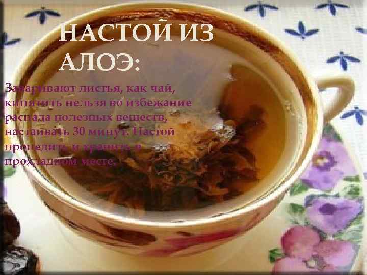 НАСТОЙ ИЗ АЛОЭ: Заваривают листья, как чай, кипятить нельзя во избежание распада полезных веществ,