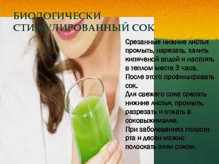 БИОЛОГИЧЕСКИ СТИМУЛИРОВАННЫЙ СОК Срезанные нижние листья промыть, нарезать, залить кипяченой водой и настоять в
