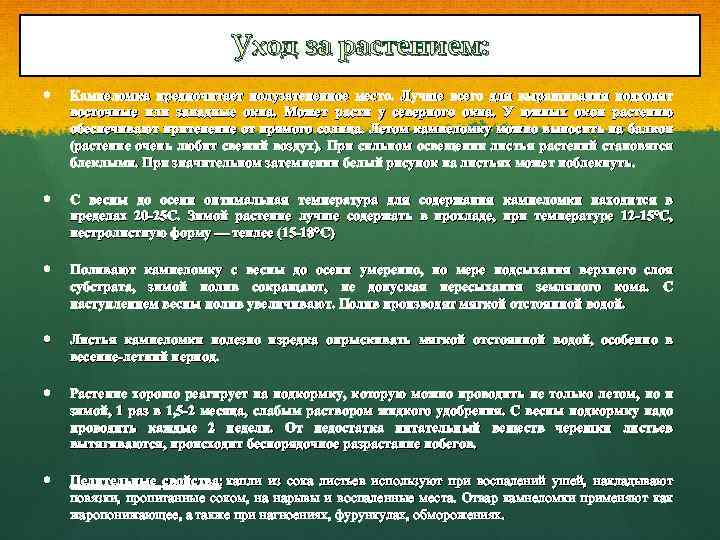 Уход за растением: Камнеломка предпочитает полузатененное место. Лучше всего для выращивания подходят восточные или