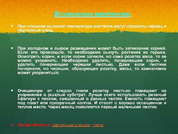 Возможные трудности При слишком высокой температуре растение могут поражать червец и паутинный клещ. При
