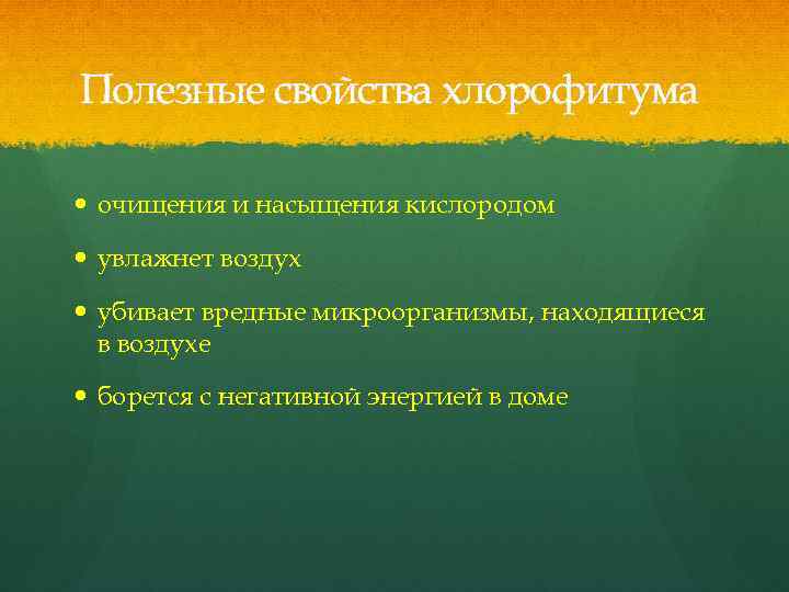  Полезные свойства хлорофитума очищения и насыщения кислородом увлажнет воздух убивает вредные микроорганизмы, находящиеся