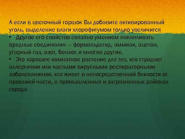 А если в цветочный горшок Вы добавите активированный уголь, выделение влаги хлорофитумом только увеличится