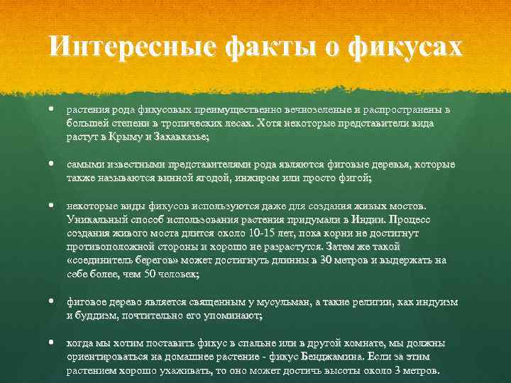 Интересные факты о фикусах растения рода фикусовых преимущественно вечнозеленые и распространены в большей степени