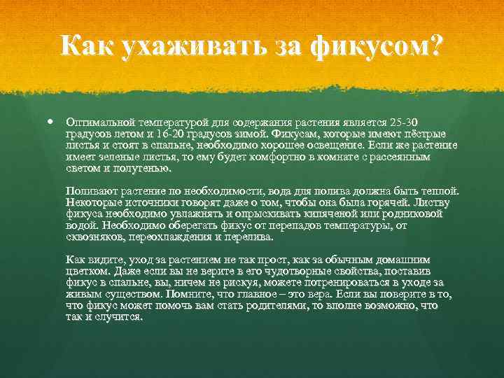 Как ухаживать за фикусом? Оптимальной температурой для содержания растения является 25 -30 градусов летом