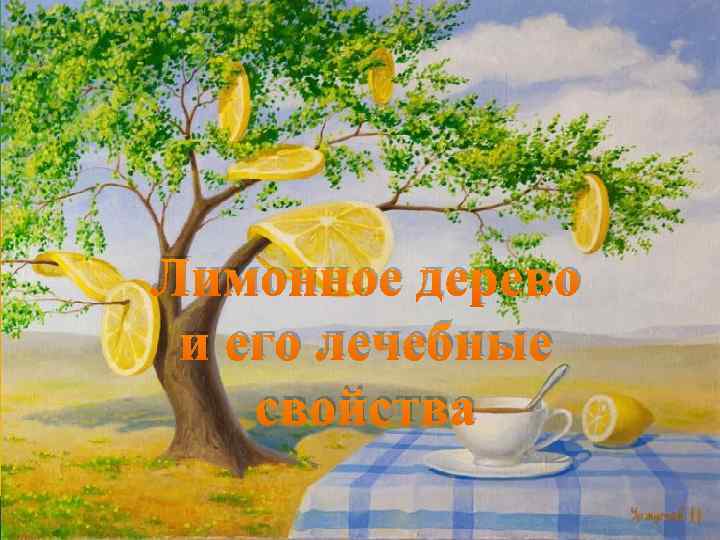 Лимонное дерево и его лечебные свойства 