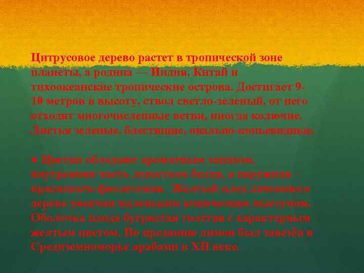 Цитрусовое дерево растет в тропической зоне планеты, а родина — Индия, Китай и тихоокеанские