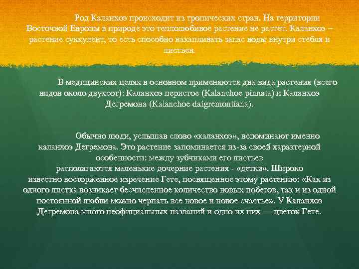 Род Каланхоэ происходит из тропических стран. На территории Восточной Европы в природе это теплолюбивое