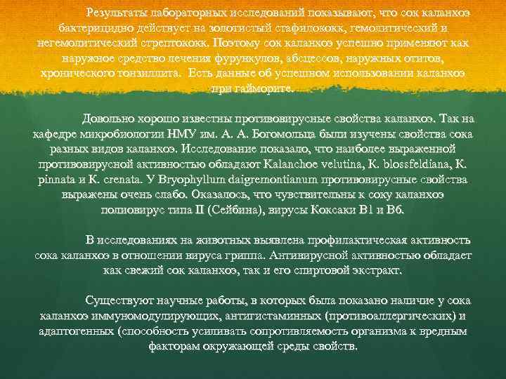 Результаты лабораторных исследований показывают, что сок каланхоэ бактерицидно действует на золотистый стафилококк, гемолитический и