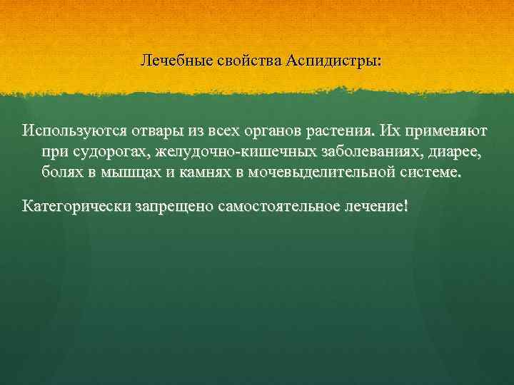Лечебные свойства Аспидистры: Используются отвары из всех органов растения. Их применяют при судорогах, желудочно-кишечных
